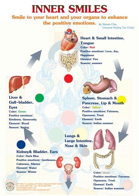 a body with organs doing inner smile meditation